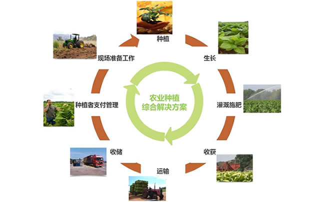 農(nóng)產(chǎn)品安全追溯系統(tǒng)