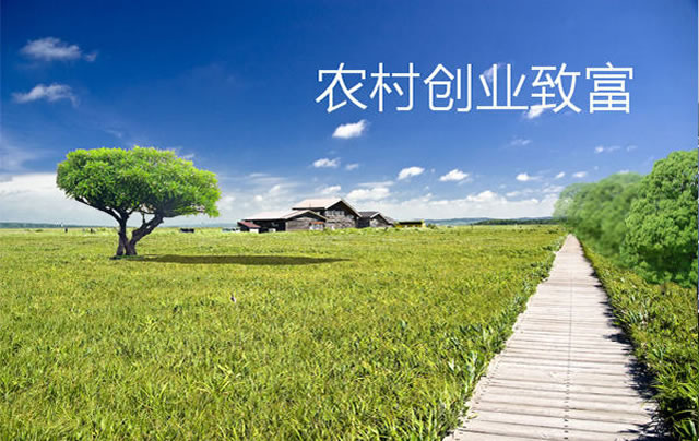 農(nóng)業(yè)項(xiàng)目創(chuàng)業(yè)孵化